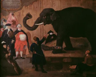 Ein Elefant in Venedig gezeigt